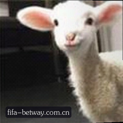 小杨